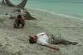 Immagine 25 - Chi trova un amico trova un tesoro, Charlie e Alan partono sfidando l’oceano con un carico di Puffin … foto del film con Bud Spe
