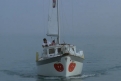 Immagine 11 - Chi trova un amico trova un tesoro, Charlie e Alan partono sfidando l’oceano con un carico di Puffin … foto del film con Bud Spe
