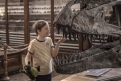 Immagine 9 - Mio fratello rincorre i dinosauri, foto del film con Alessandro Gassmann e Isabella Ragonese