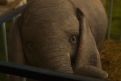 Immagine 4 - Dumbo, foto del film di Tim Burton con Colin Farrell, Michael Keaton, Danny De Vito, Eva Green