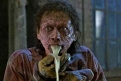 Immagine 27 - La mosca (The Fly), foto e immagini del film di David Cronenberg con Jeff Goldblum e Geena Davis