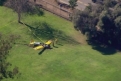 Immagine 21 - Harrison Ford, incidente aereo