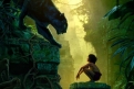 Immagine 9 - Il Libro della Giungla, foto film