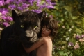 Immagine 5 - Il Libro della Giungla, foto film e cartone