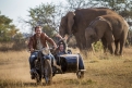 Immagine 5 - Mia e il Leone bianco, foto del film