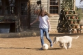 Immagine 2 - Mia e il Leone bianco, foto del film