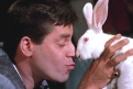 Immagine 26 - Jerry Lewis, foto e immagini di una leggenda della comicità