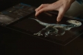 Immagine 21 - Jurassic World: Il regno distrutto, foto e immagini del film con Chris Pratt e Bryce Dallas Howard