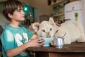 Immagine 6 - Mia e il Leone bianco, foto del film