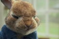 Immagine 3 - Peter Rabbit, immagini e disegni animati del film