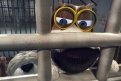 Immagine 15 - Ozzy cucciolo coraggioso (2017), immagini e disegni del film
