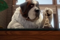 Immagine 6 - Ozzy cucciolo coraggioso (2017), immagini e disegni del film