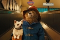 Immagine 17 - Paddington 2, immagini del film