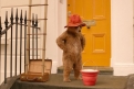 Immagine 2 - Paddington 2, immagini del film