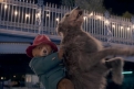 Immagine 13 - Paddington 2, immagini del film