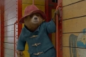 Immagine 7 - Paddington 2, immagini del film