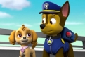 Immagine 11 - Paw Patrol, disegni e immagini