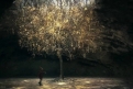 Immagine 44 - Pinocchio, le scenografie di Dimitri Capuani del film di Matteo Garrone