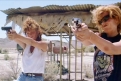 Immagine 8 - Thelma & Louise, foto e immagini del film di Ridley Scott con Susan Sarandon, Geena Davis