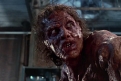 Immagine 22 - La mosca (The Fly), foto e immagini del film di David Cronenberg con Jeff Goldblum e Geena Davis