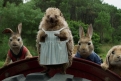 Immagine 24 - Peter Rabbit, immagini e disegni animati del film