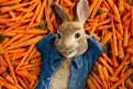 Immagine 5 - Peter Rabbit, immagini e disegni animati del film