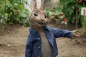 Immagine 8 - Peter Rabbit, immagini e disegni animati del film