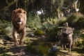 Immagine 25 - Il Re Leone, immagini e disegni tratti dal film Walt Disney del 2019