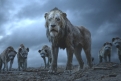 Immagine 9 - Il Re Leone, immagini e disegni tratti dal film Walt Disney del 2019