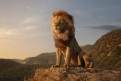 Immagine 11 - Il Re Leone, immagini e disegni tratti dal film Walt Disney del 2019