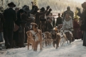 Immagine 6 - Il Richiamo della Foresta (2020), foto del film tratto da romanzo di Jack London