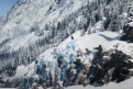 Immagine 12 - Il Richiamo della Foresta (2020), foto del film tratto da romanzo di Jack London