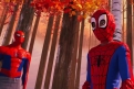 Immagine 3 - Spider-Man: Un nuovo universo, foto e disegni del film Marvel Warner Bros