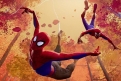 Immagine 9 - Spider-Man: Un nuovo universo, foto e disegni del film Marvel Warner Bros