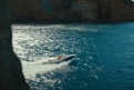 Immagine 23 - Uncharted, foto e immagini del film con Tom Holland tratto dalla serie di videogiochi