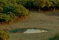 Immagine 13 - Vita di Pi (2012), foto e immagini del film del di Ang Lee con Suraj Sharma, Rafe Spall, Irrfan Khan, Gérard Depardieu