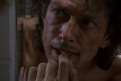 Immagine 8 - La mosca (The Fly), foto e immagini del film di David Cronenberg con Jeff Goldblum e Geena Davis