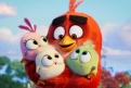 Immagine 22 - Angry Birds 2 Nemici amici per sempre, immagini e disegni tratti dal film d’animazione