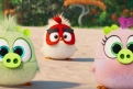 Immagine 23 - Angry Birds 2 Nemici amici per sempre, immagini e disegni tratti dal film d’animazione