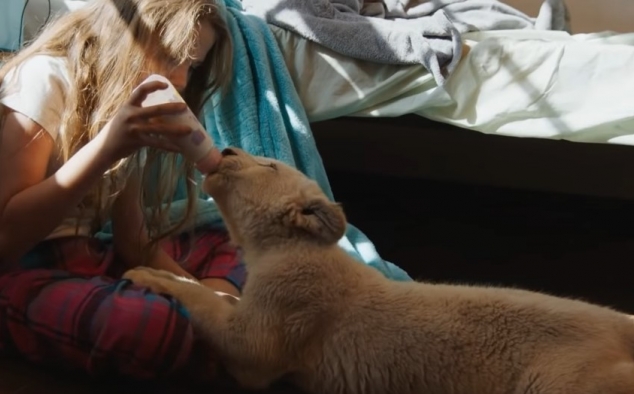 Immagine 27 - Mia e il Leone bianco, foto del film