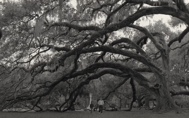 Immagine 9 - C'mon C'mon, immagini del film di Mike Mills con Joaquin Phoenix, Woody Norman