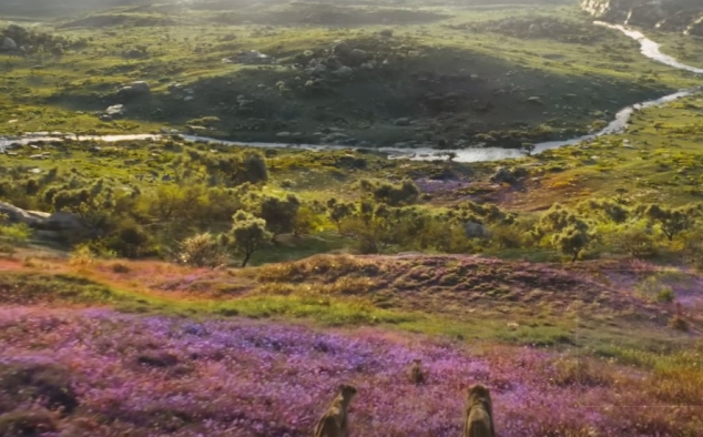 Immagine 23 - Mufasa: Il Re Leone, immagini del film Walt Disney di Barry Jenkins con le voci di Aaron Pierre, Kelvin Harrison Jr.