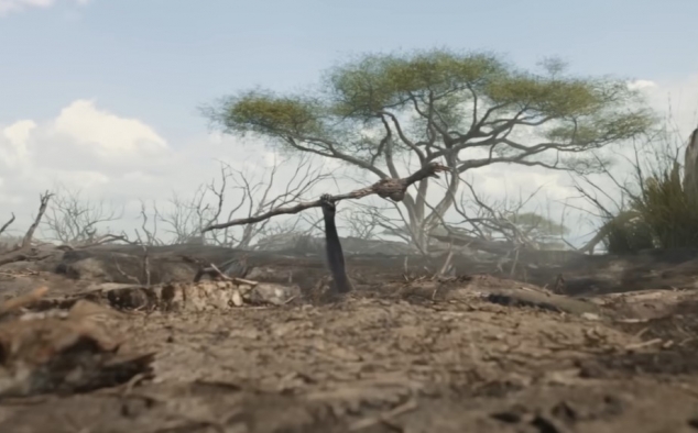 Immagine 24 - Mufasa: Il Re Leone, immagini del film Walt Disney di Barry Jenkins con le voci di Aaron Pierre, Kelvin Harrison Jr.