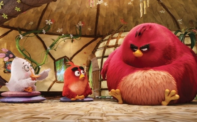 Immagine 18 - Angry Birds-Il film, foto e immagini