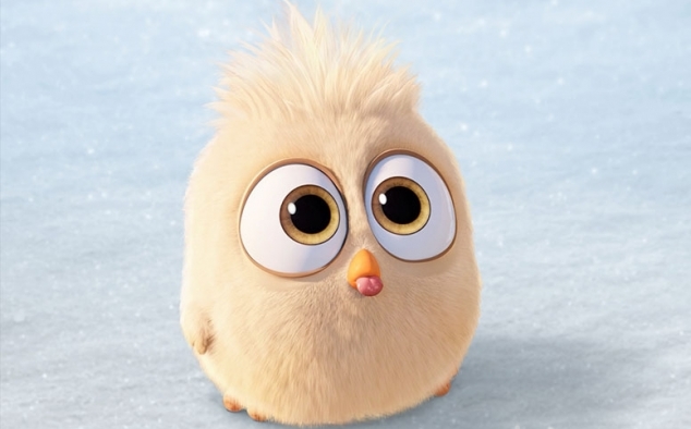 Immagine 7 - Angry Birds-Il film, foto e immagini