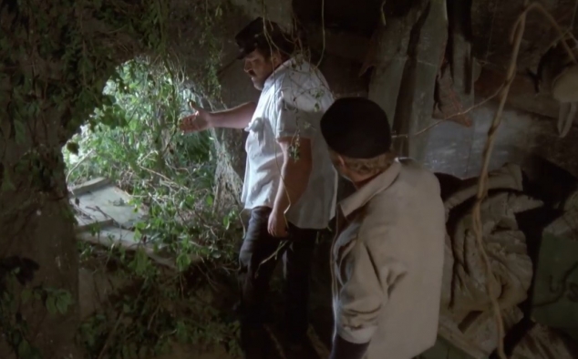 Immagine 4 - Chi trova un amico trova un tesoro, Charlie e Alan partono sfidando l’oceano con un carico di Puffin … foto del film con Bud Spe