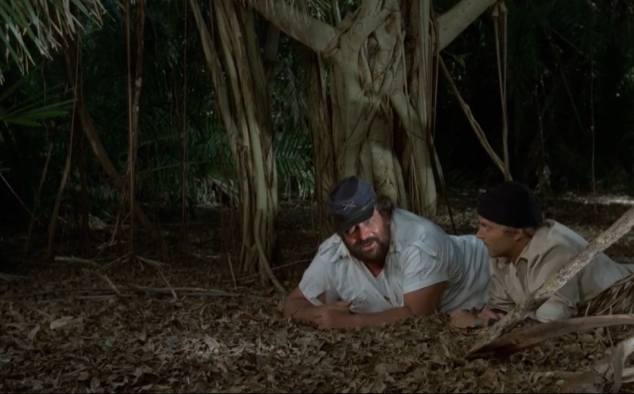 Immagine 29 - Chi trova un amico trova un tesoro, Charlie e Alan partono sfidando l’oceano con un carico di Puffin … foto del film con Bud Spe