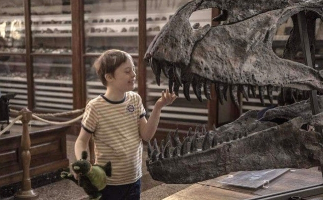 Immagine 9 - Mio fratello rincorre i dinosauri, foto del film con Alessandro Gassmann e Isabella Ragonese
