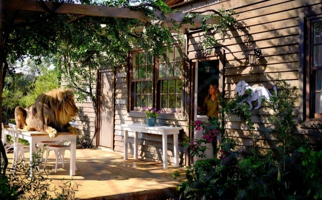Immagine 9 - Mia e il Leone bianco, foto del film