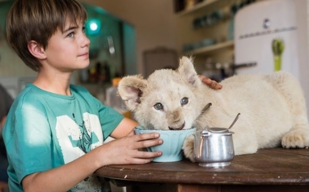 Immagine 6 - Mia e il Leone bianco, foto del film